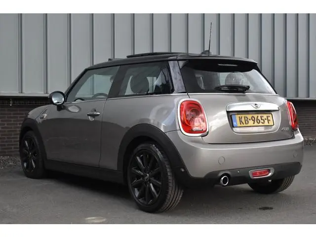Mini Mini