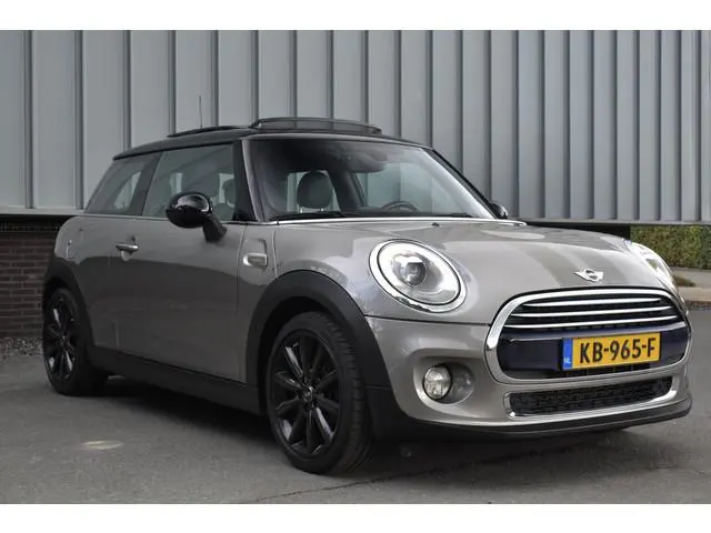 Mini Mini