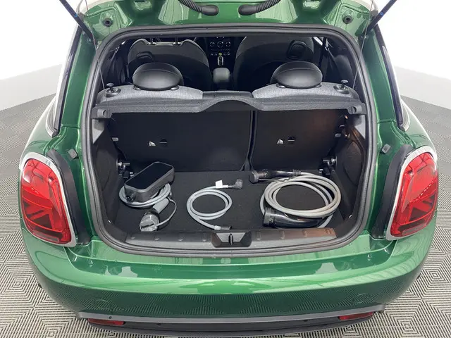 MINI Electric