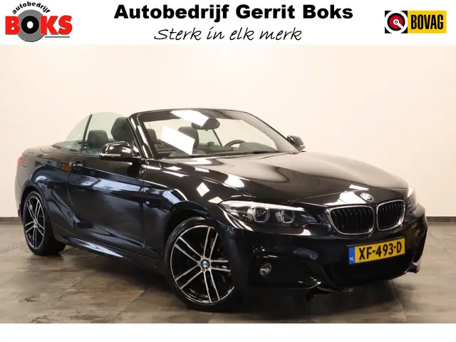BMW 2-serie Cabrio 220i High Executive M-sport H&K PDC