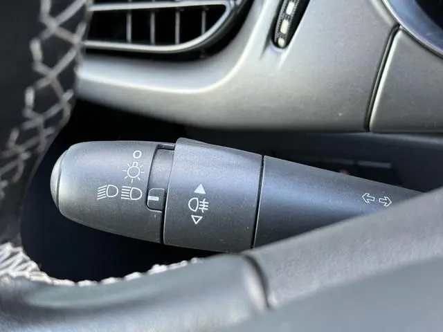 DS DS 3