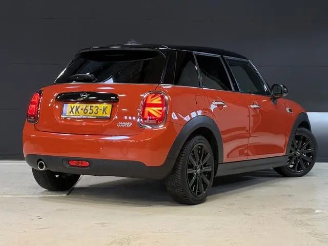 Mini Mini