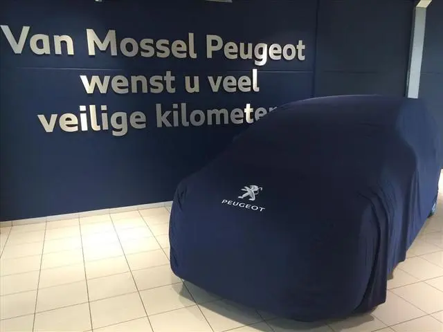 Peugeot e-3008