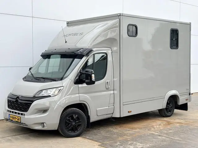 Citroën Jumper 2.2 130PK Paardenwagen Horsetrailer Pferdewagen Gietvloer WTV-opbouw Interieur- en ac...