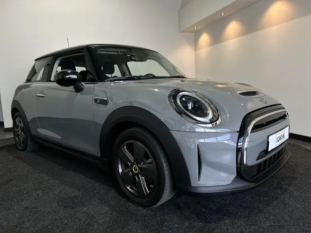 Mini Mini