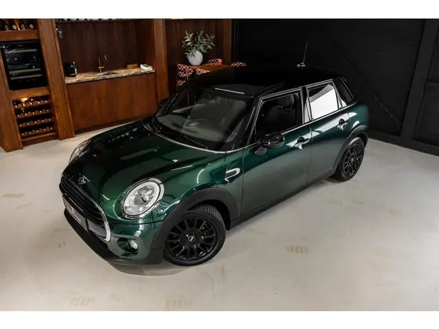 Mini Mini