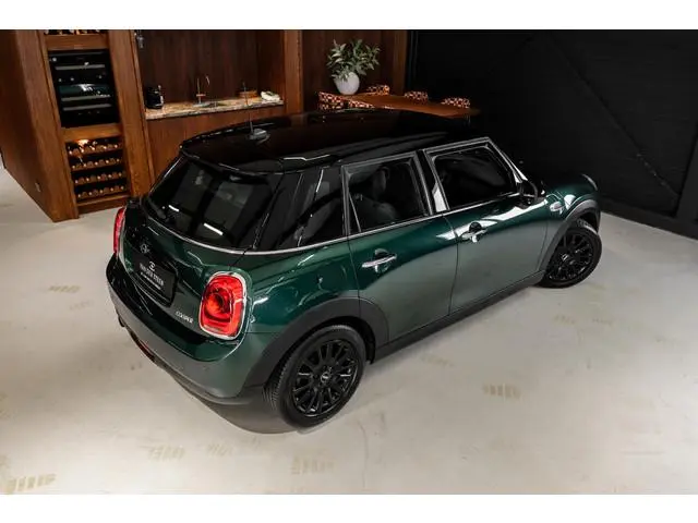 Mini Mini