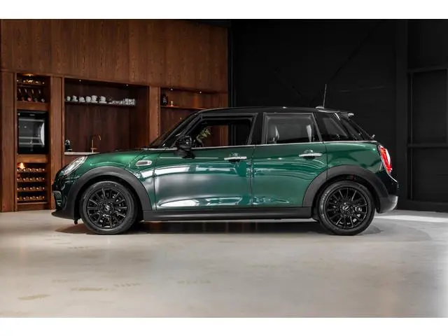 Mini Mini