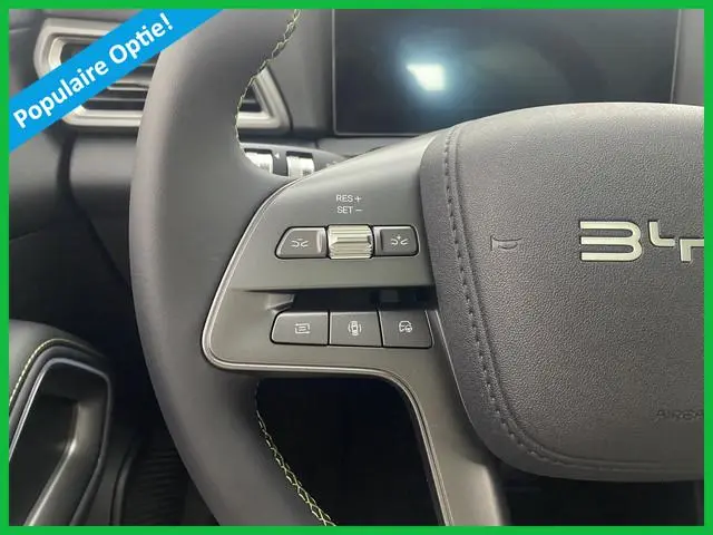 BYD ATTO 2