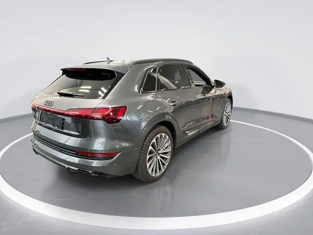 Audi e-tron 55 408pk Quattro S edition 95 kWh · SOH 96,1% · 360 Camera · B&O Audio · Luchtvering · D...