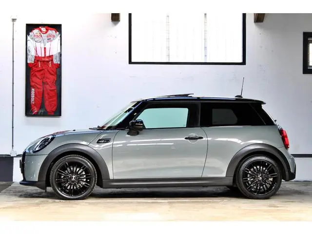 Mini Mini