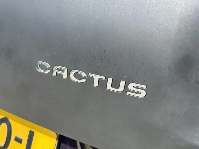Citroën C4 Cactus