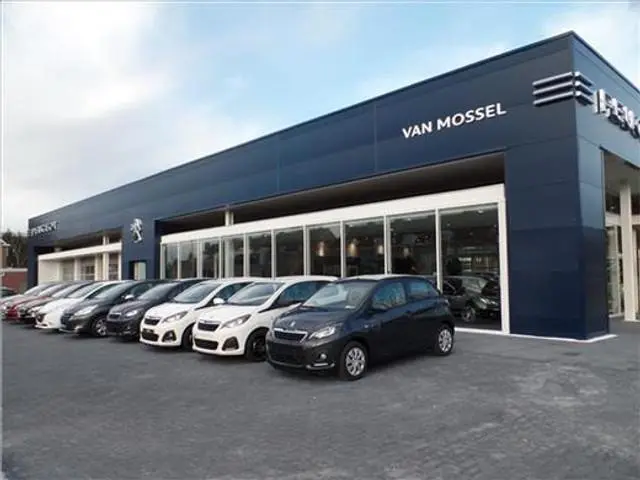 Peugeot e-3008