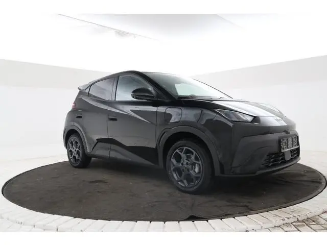 BYD DOLPHIN SURF