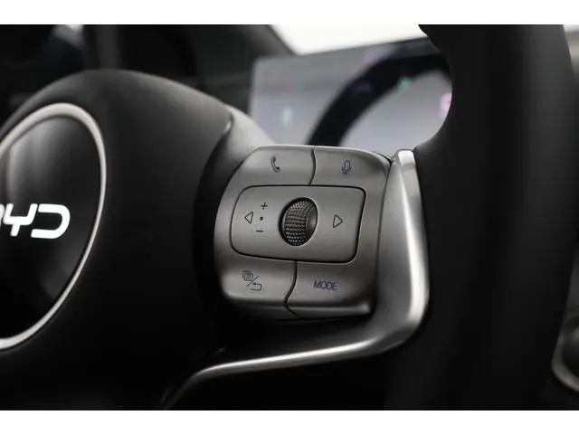BYD DOLPHIN SURF