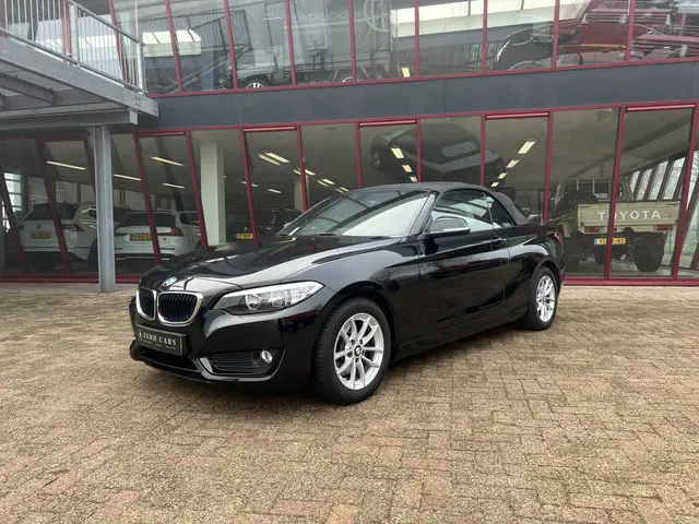 BMW 2-serie Cabrio 220i | NL auto | 2e eigenaar | PDC | Navi | Leder | Stoelverw.