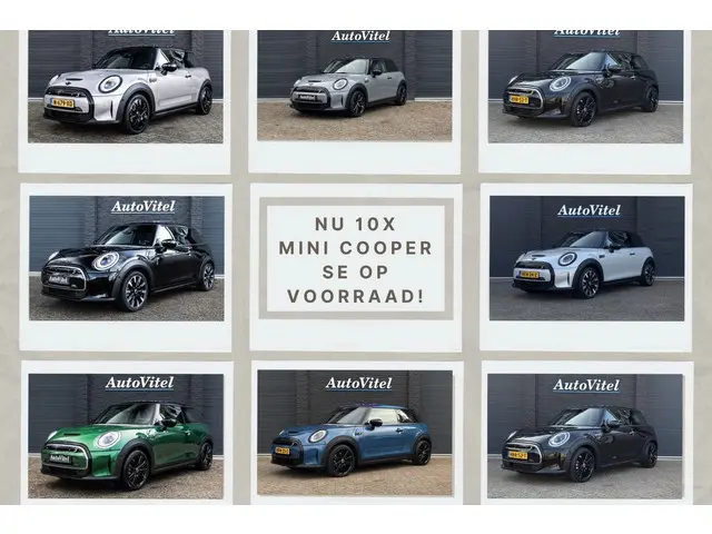 Mini Mini
