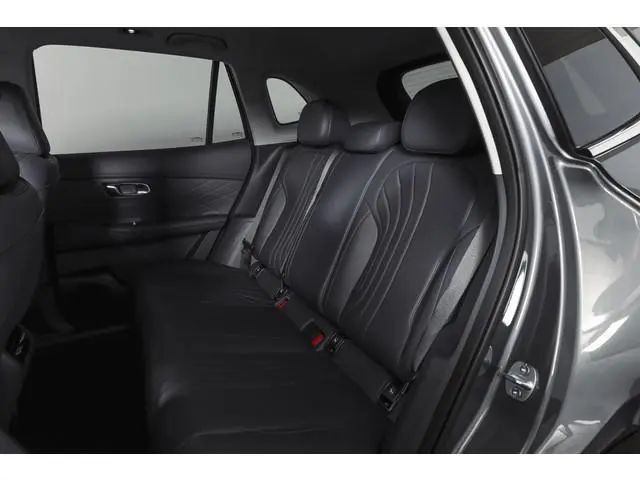 Geely Starray EM-i