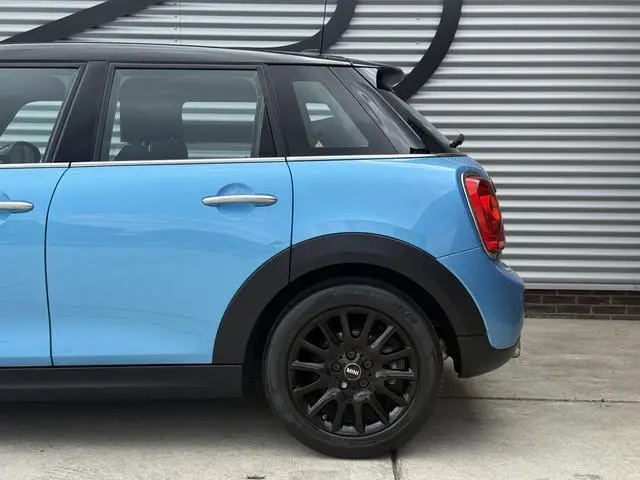 Mini Mini