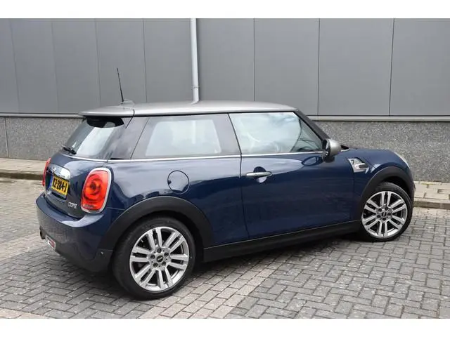 Mini Mini