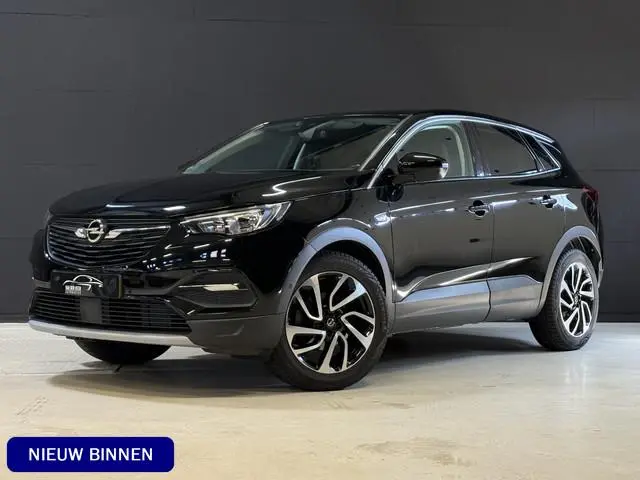 Opel Grandland X 1.2 Turbo Business Executive | Camera | Riem VV bij 64.000 km | Apple Carplay | Dod...