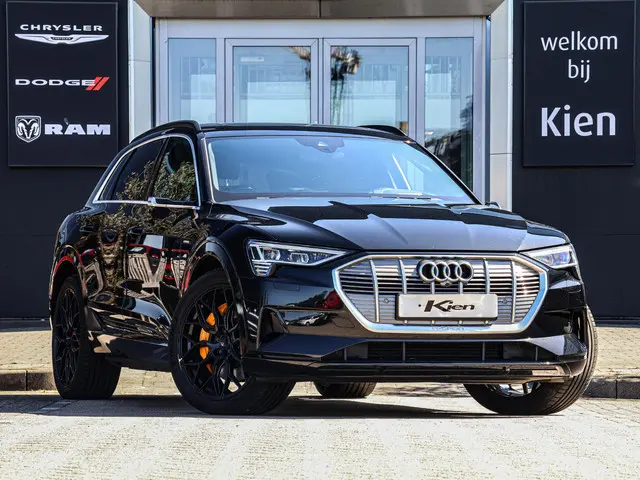 Audi e-tron e-tron 55 quattro advanced Pro Line Plus 95 kWh  | Pano | Spiegel camera |