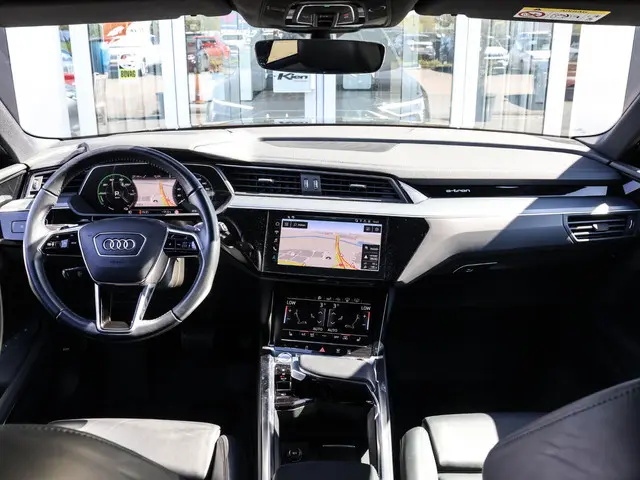 Audi e-tron e-tron 55 quattro advanced Pro Line Plus 95 kWh  | Pano | Spiegel camera |