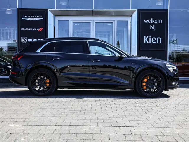 Audi e-tron e-tron 55 quattro advanced Pro Line Plus 95 kWh  | Pano | Spiegel camera |