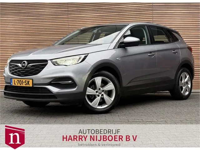 Opel Grandland X 1.2 Turbo Business Executive Navi / Carplay / Stoel en Stuur verwarming / AGR