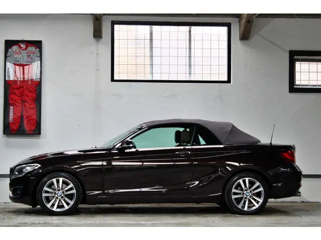 BMW 2-serie Cabrio 220i Centennial High Executive | Xenon | Stoelverwarming | Parkeersensoren | Wind...