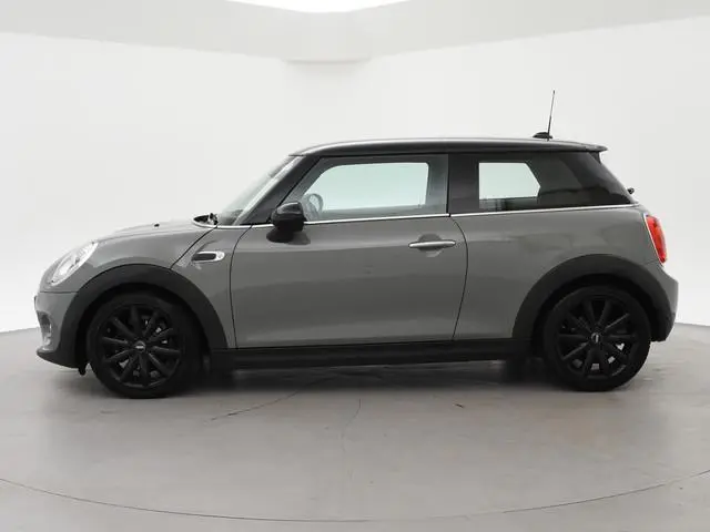 Mini Mini