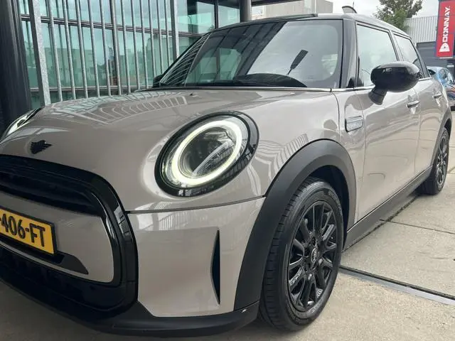 Mini Mini