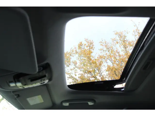 Kia Niro EV DynamicPlusLine 64.8 kWh Nieuw Model! | Navigatie | Half Leder | Schuif-kantel dak | Ele...