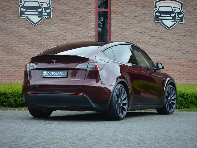 Tesla Model Y Performance AWD 75 kWh | SOH 95% | BTW