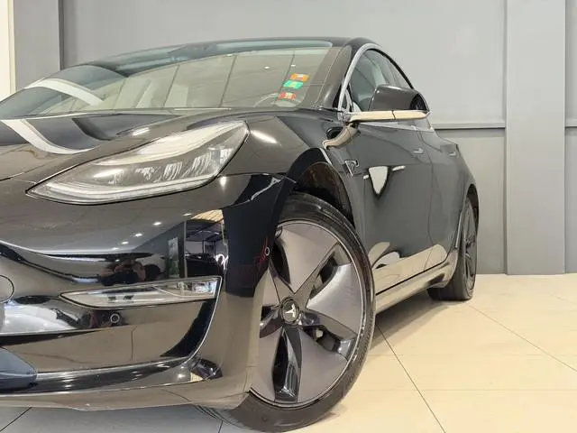 Tesla Model 3 Long Range RWD 75 kWh | Trekhaak | SOH 83,4% |