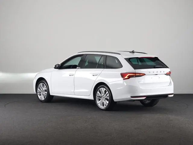 Skoda Octavia Combi Business Edition Plus m-HEV 1.5 TSI 115 pk 7 versn. DSG | Winter pakket | Lichtm...