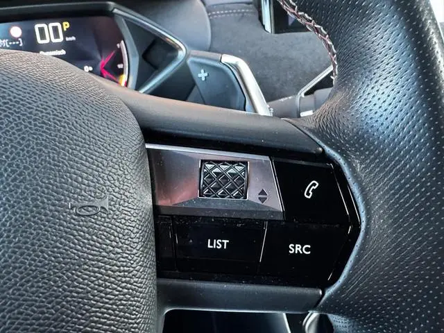 DS DS 3