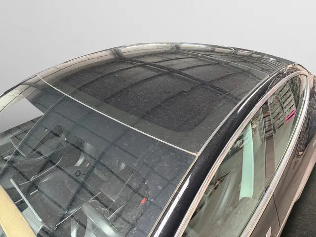 Tesla Model 3 Long Range AWD 75 kWh SOH 85%, Autopilot, Panoramadak, Stoelverwarming