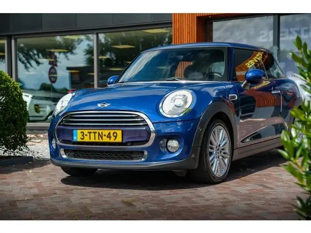 Mini Mini