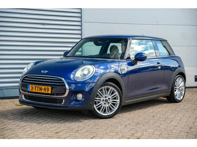 Mini Mini