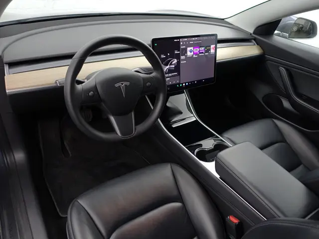 Tesla Model 3 Long Range AWD 75 kWh- NAP 97dkm, Panoramadak, Camera, Autopilot, Xenon Led