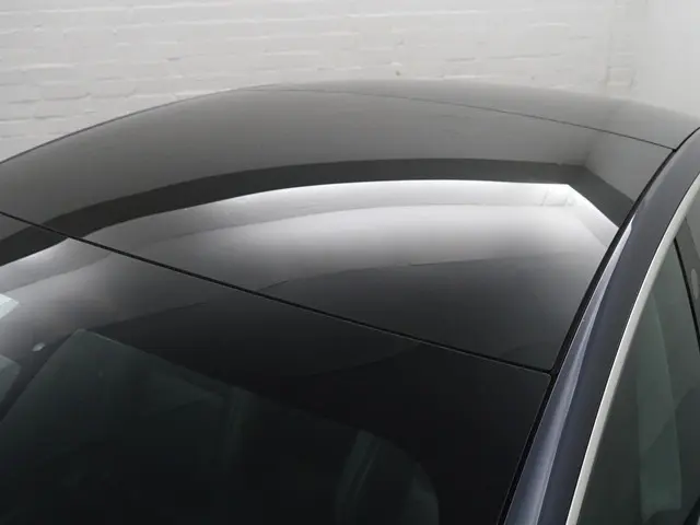 Tesla Model 3 Long Range AWD 75 kWh- NAP 97dkm, Panoramadak, Camera, Autopilot, Xenon Led