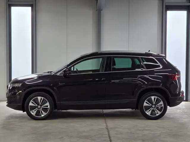 Škoda Karoq 1.5 TSI ACT Business Edition Plus DSG | Navi | Acc | Camera | Led |