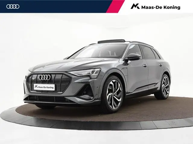 Audi e-tron 55 Quattro 408pk 95 kWh S Edition · SOH 91,7% · Panoramadak · Camera · Luchtvering · Afn...