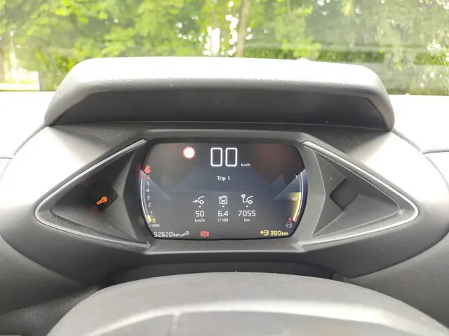 DS DS 3