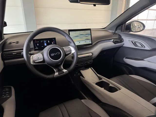 BYD DOLPHIN SURF