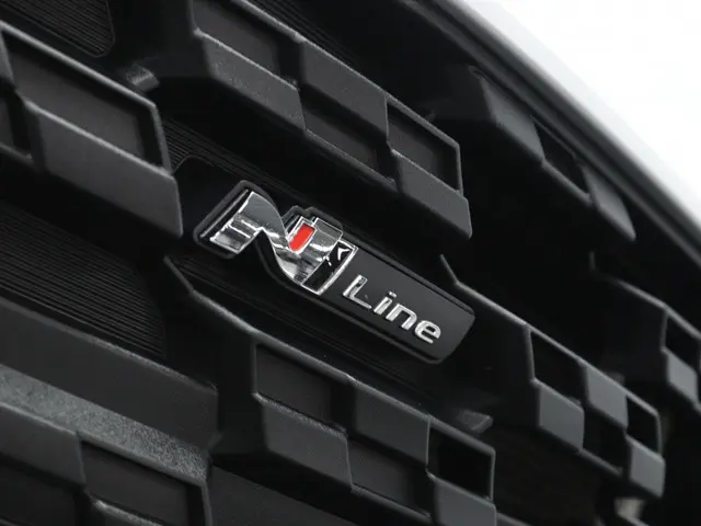 Hyundai i20 1.0 T-GDI N Line | Bose audio | Navigatie | Camera