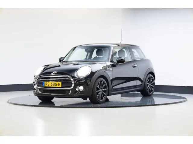 Mini Mini