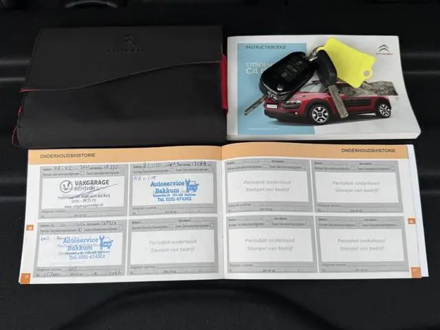 Citroën C4 Cactus