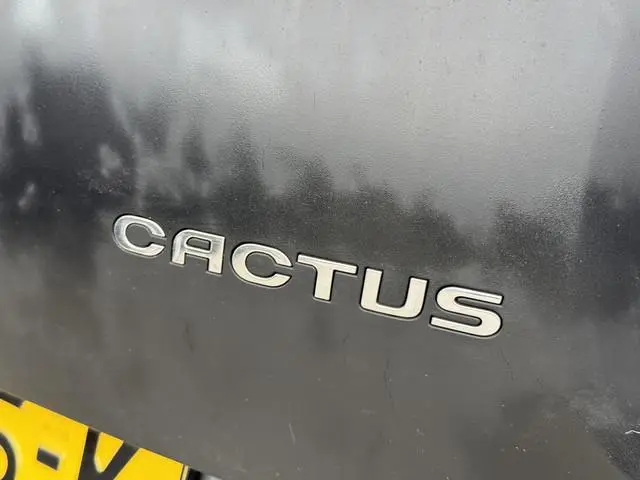 Citroën C4 Cactus